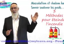 Clés du bonheur : Musculation et Chalom Bayit – Savoir soulever les poids