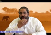 Les épreuves … un safari de chien !