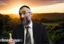 D.ieu a t-il besoin d’un Messie (Machiah) ?