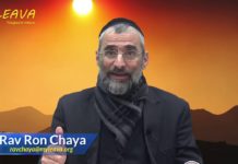 Cette malédiction qui se se voit sur ta tête !