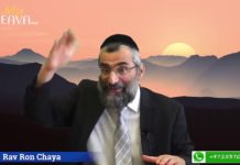 Baba Salé à Genève