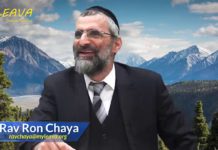 Pigeon et paillasson