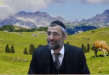 Halav Israël, lait chamour, Qu’est-ce que c’est ?