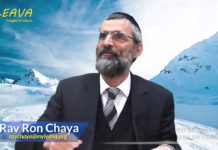 Des traits de caractère raffinés