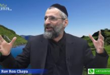 Les grands hommes sont humbles !