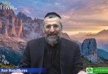 Lorsque l’on cède on ne perd jamais !