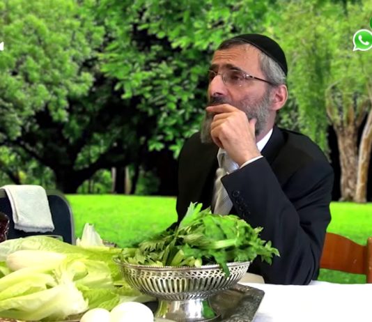 00-Le Séder de Pessah du Rav Ron chaya Introduction – Le plateau