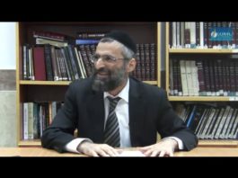 Le Rav Ovadia Yossef zatsoukal (1/2)