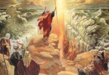 Chacun d’entre-nous peut faire la différence