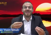 Chabbat : Cesser pour mieux renaître…