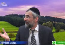 Comment accéder à l’amour de D.ieu ?