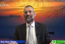 Lorsque règne la paix