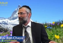 Mieux vaut mourir que de faire honte