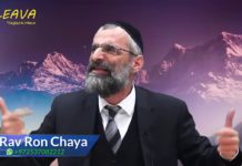 Le patron de l’hôpital