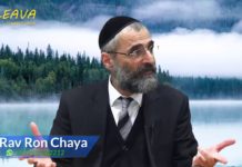 Pour l’honneur de D.ieu