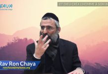 Et D.ieu créa l’homme à son image !