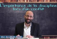 Education : L’importance de la discipline lors d’un conflit