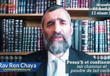 Pessah & confinement : Lait Chamour et poudre de lait cacher