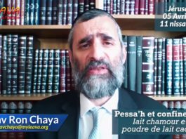 Pessah & confinement : Lait Chamour et poudre de lait cacher