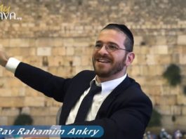 Tout sur le Kotel !