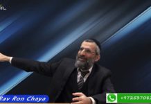 La bûche OK, mais au mois de Juillet !