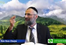 Les lois de Nétilat Yadaïm (1/3)