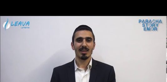 Qui a craché au visage de Rabbi Méir Baal Haness – Paracha Story Emor