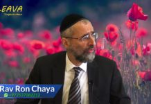 Celui qui guérit toute chair