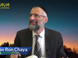 La mission sacrée du peuple juif, selon le Or Ha’Haim Ha Kadoch- Parachat Chéla’h Lekha