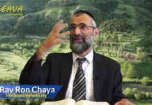 L’honneur véritable, c’est pas comme au cinéma ! Or Ha’Haim Ha Kadoch sur Kora’h