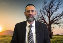 Education : Les fruits ne tombent jamais loin de l’arbre !