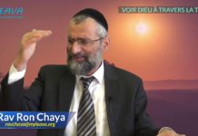 Voir D.ieu à travers la Torah