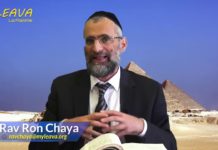 Libération d’Égypte et sainteté : Or Ha’Haim HaKadoch sur Béhaalotékha