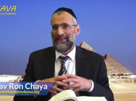 Libération d’Égypte et sainteté : Or Ha’Haim HaKadoch sur Béhaalotékha