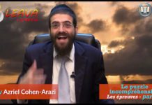 Les Épreuves (partie 4) – « Le puzzle incompréhensible »