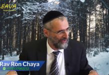 Dans les mains du N.K.V.D.