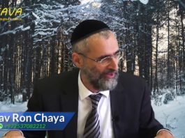 Dans les mains du N.K.V.D.