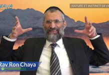 Nature animale et instinct de l’homme