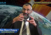 La Torah matrice du monde