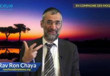 En compagnie des moqueurs, comment réagir ?