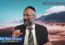 Patience vs Orgueil : le combat du siècle