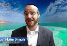 Etes vous en accord avec vos valeurs ?