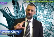 Les lois de Tévilat Kélim Partie 03 – (tremper ses ustensiles dans un Mikvé)
