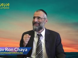 La plus importante des guerres – Or Ha’Haim sur parachat Ki-Tetsé