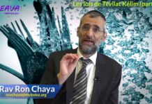 Les lois de Tévilat Kélim Partie 05 – (tremper ses ustensiles dans un Mikvé)