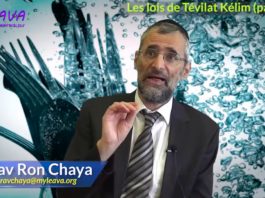 Les lois de Tévilat Kélim Partie 05 – (tremper ses ustensiles dans un Mikvé)