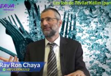 Les lois de Tévilat Kélim Partie 06 – (tremper ses ustensiles dans un Mikvé)