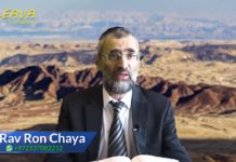 Moïse en terre d’Israël – Or haHaïm sur Haazinou