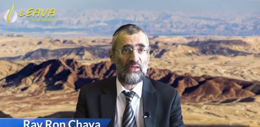 Moïse en terre d’Israël – Or haHaïm sur Haazinou