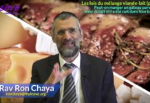 Les lois de mélange – Partie 7 – Les lois du four et des casseroles – Rav Ron Chaya